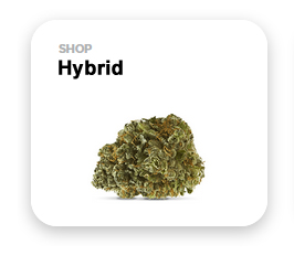 hybrid