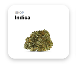 indica indica